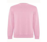 Roly Eco Unisex Sweatshirt Pullover Rundhals Sweater Pulli Pink (Light) XXL