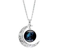ROMIDA 12 Sternbild Halskette 925 Sterling Silber Unisex 12 Horoskop Birthstone Ketten Wunsche Gravur Halskette 12 Sternzeichen Kristall Sternbild Anhänger Hypoallergen (1pc-Aquarius)