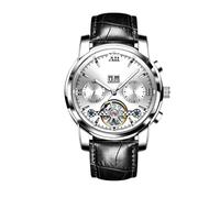 RORIOS Herrenuhren Automatik Mechanische Uhr mit Lederband Klassisches Leuchtende Uhr Wasserdicht Armbanduhr Uhr für Männer