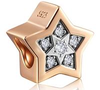 Rose Gold Valentinstag Charms fit europäischen Armband, Paar Liebhaber, Smiley Gesicht Rose Blume Mondsichel Sterne Herzschlag geknotet Herz Charm in Sterling Silber, Geschenke für Familie/Geburtstag