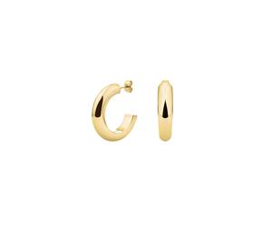 ROSEFIELD Ohrringe Massive Hoops Gold JEDSG-J803