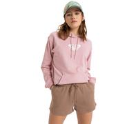 Roxy Shorts Jogger Surf Stoked Portabella : S