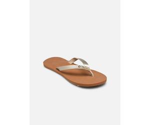 Roxy - Zehensandalen Jyll III - Gold und Bronze - Größe 37