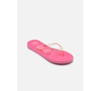 Roxy - Zehensandalen Viva Jelly - Rosa - Größe 40