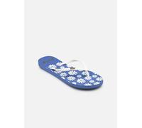 Roxy - Zehensandalen VIVA PRINTED - Blau - Größe 37