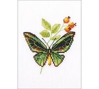 RTO EH363 Dornbusch und Schmetterling Kreuzstichset, Baumwolle, Mehrfarbig, 8,5x9 cm