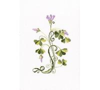 RTO Kreuzstich-Stickset für Erwachsene, Blumen, Oxalis, 12 x 18,5 cm, 16 CT