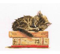 RTO M642 Katzentraum Kreuzstichset, Baumwolle, Mehrfarbig, 19,5x16,5 cm
