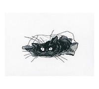 RTO M667 Schwarze Katze Kreuzstichset, Baumwolle, Mehrfarbig, 13,5x8 cm