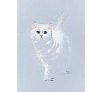 RTO M780 Weiße Katze Kreuzstichset, Baumwolle, Mehrfarbig, 17.5x28 cm