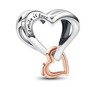 Ruaidhra Sterling Silber S925 Herz,Family Charms & Beads für Damen,Blume Rosa Moments Unendlichkeitsbaum Charm Anhänger,Reisen Clip Stopper für Armbänder,Geschenk für Frauen Geburtstag