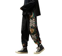 RUMAOZIA Cargohose Herren Baggy Vintage Wanderhose Baumwolle Bestickt Klassisch Arbeitshosen Männer Lang Universal Fit Freizeithose mit Taschen Cargo Pants Strand Pumphose Straight Sport Hose