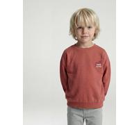 Rundhals-Sweatshirt Jungen mit Recycling-Polyester rosenholz Gr. 158/164 von vertbaudet
