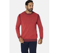 Rundhalspullover JAN VANDERSTORM "Pullover GERTLUND", Herren, Gr. L, orange, Obermaterial: 100% Baumwolle CO., Pullover Rundhalspullover (74517364-L) orange