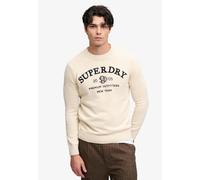 Rundhalspullover SUPERDRY "APPLIQUE GRAPHIC JUMPER", Herren, Gr. L, beige (rainy day grau), Strick, Obermaterial: 100% Baumwolle, bedruckt, slim fit normal, Rundhals, Bündchen, Pullover Rundhalspullov