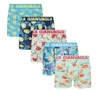 Rungassi Herren Boxershorts 5er Set Premium Stretch Baumwolle GVG-5083 Süße Früchtchen (DE/NL/SE/PL, Alphanumerisch, XXL, Regular, Regular, Frucht-Design)