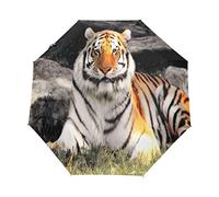 RXYY Afrikanisch Tiger Tier Drucken Falten Auto Öffnen Schließen Regenschirm für Frauen Männer Jungs Mädchen Winddicht Kompakt Reise Leicht Regen Regenschirm