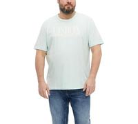 Flammgarn-T-Shirt mit Artwork 4XL türkis 2181139.64D6.4XL