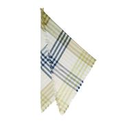 s.Oliver Red Label - Schal mit Karomuster blau/grün - Gr. - ONE SIZE