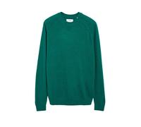 Weicher Raglan-Strickpullover aus 100% Lammwolle XL grün 2182808.7947.XL