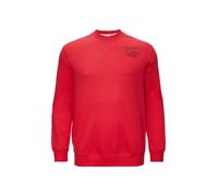 Sweatshirt mit Stickerei 4XL rot 2159135.33D1.4XL