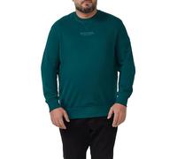 Wärmendes Sweatshirt mit Logo-Artwork 4XL grün 2174170.79D1.4XL