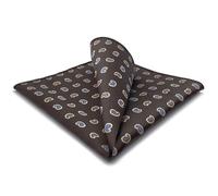S&W SHLAX&WING Einstecktuch für Herrenanzüge Braun Paisley Blau Gelb elegante Taschentücher