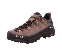 Salewa Alp Trainer 2 GORE-TEX Trekkingschuhe grau - 45
