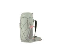 Salewa Alp Trainer WS 30 + 3L Rucksack grau