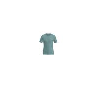 Salewa Eagle Minilogo AM T-shirt M willow (8260) 54/2X