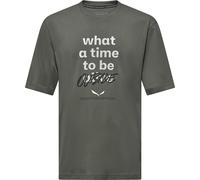 Salewa Eagle Outside Loose T-Shirt schilfgrün - XXL