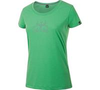 Salewa FANES Cow Dry W S/S Tee - Kurze Ärmel T-Shirt - Damen - grün - XL