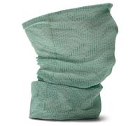 Salewa Icono Headband, Pastel Green/Meadow, UNI58