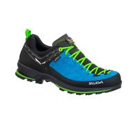 Salewa HE MTN TRAINER 2 GTX für Herren, blau, Größe 43 EU / 9 UK