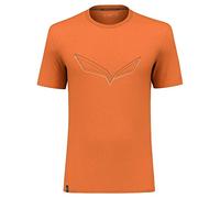 Salewa Herren Pure Eagle Frame Dry T-shirt M Sport T Shirt, Autumnal Melange, L EU
