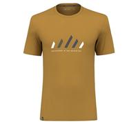 Salewa Herren Pure Stripes Dry M T-Shirt