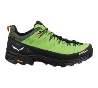 SALEWA Herren Trekkinghalbschuhe ALP TRAINER 2 GTX M (61400) 40 ½ Pale Frog/Black