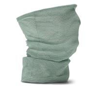 Salewa Halsschutz Salewa Icono Headband Pastel Green/Meadow