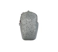 Salewa Explorer 12 Wanderrucksack 40 cm grau