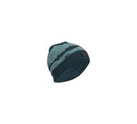 Salewa Mütze Salewa Logo Beanie Pond Blue/Black Out