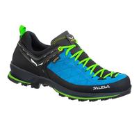 Salewa Mountain Trainer 2 GTX Herren Trekking-Halbschuhe, blau, Größe 42 42
