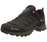 Salewa Wanderschuhe Mtn Trainer Lite GTX (Zustieg, wasserdicht) braun Herren, Größe Euro (US) 42 (9)