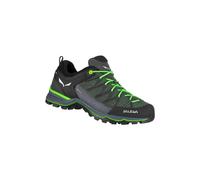 Salewa Herren MTN Trainer Lite GTX Schuhe (Größe 44, gruen)