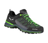 Salewa Herren MTN Trainer Lite GTX Schuhe (Größe 46, gruen)