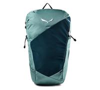 Salewa Pedroc Core 22L willow (5150) UNI