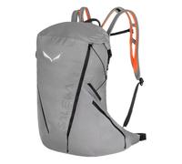 Salewa Herren Pedroc Pro 22L Rucksack (Größe 22L, grau)