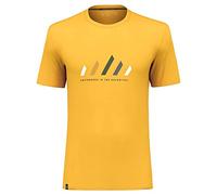 Salewa Pure Stripes Dry M T-Shirt für Herren