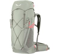 Salewa Alp Trainer WS 30 + 3L Rucksack grau