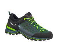 Salewa Wanderschuhe Mtn Trainer Lite GTX (Zustieg, wasserdicht) grün Herren, Größe Euro (US) 44 (10,5)