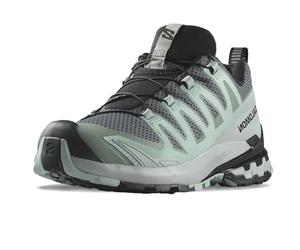 Salomon Adult Master-Artikel XA PRO 3D V9 W grau Gr. 41,5
